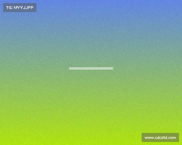 西甲国际比赛日分析：球员状态、战术调整与赛季走势的关键节点